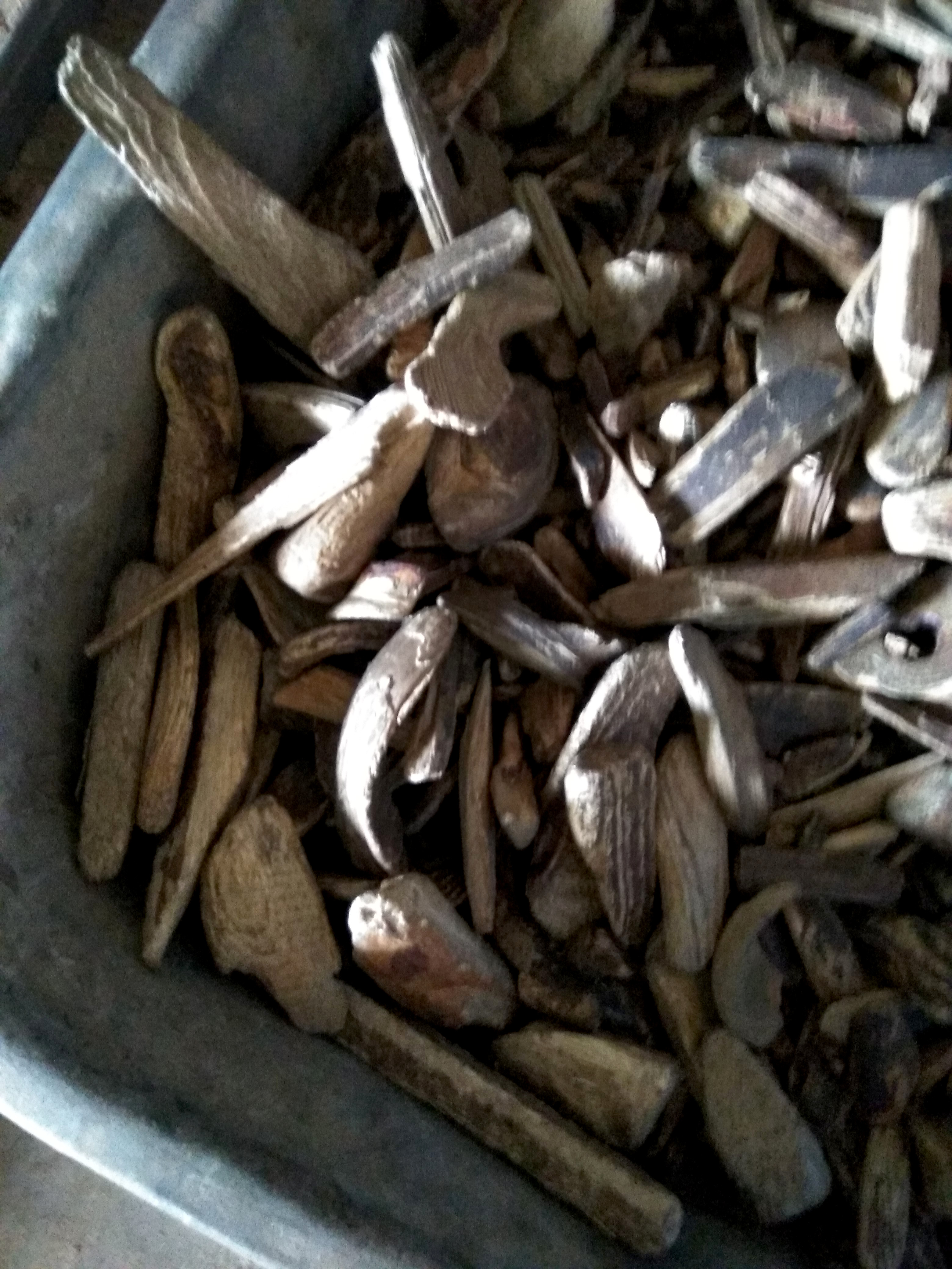 worn down chips at the beginning of the drying drum